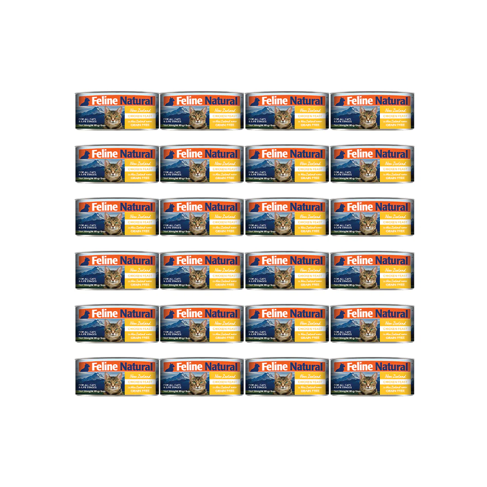 Thumbnail 13