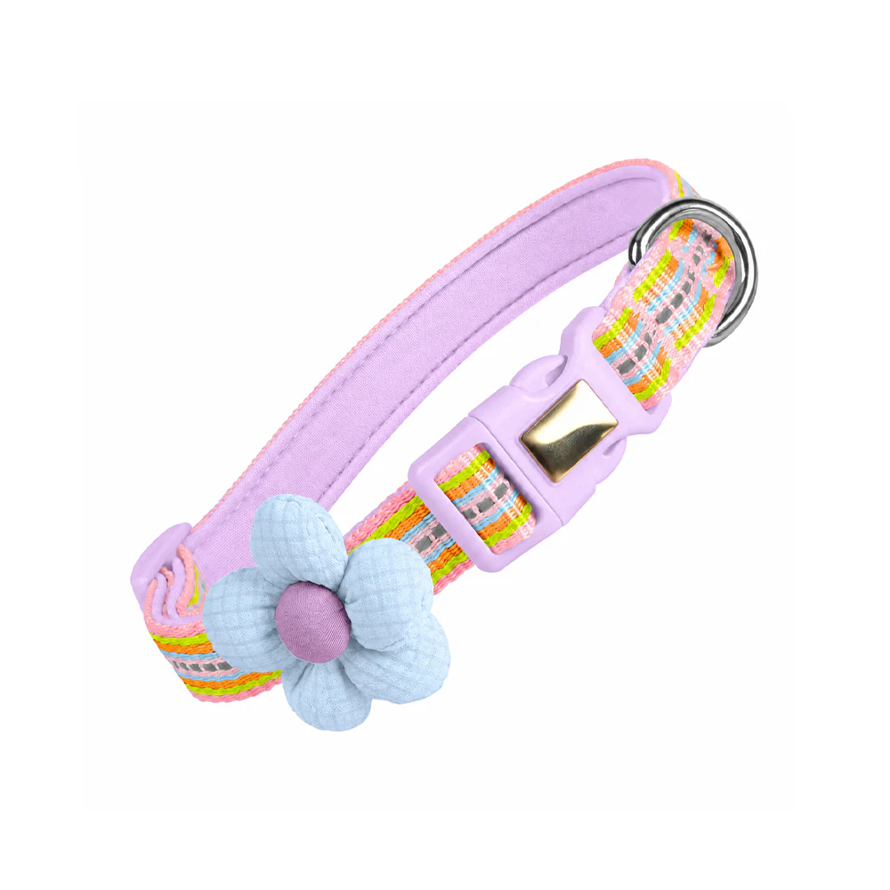 Thumbnail 27