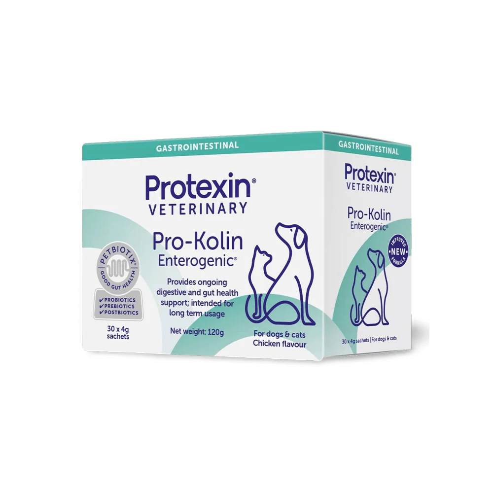 Recommended For You — Best Cat Food, Cat Litter & Smart Pet Products Australia
